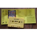 LADY BEAST [USA] "Lady Beast"